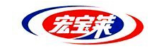 宏宝莱集团股份有限公司