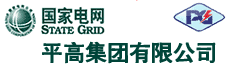 平高集团有限公司