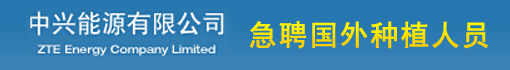 中兴能源有限公司